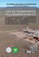 ANI Reservorio Gas Vaca Muerta