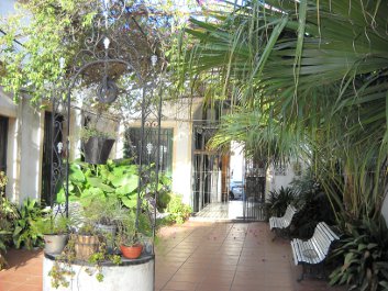 patio 02