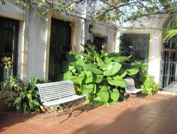 bancos 03